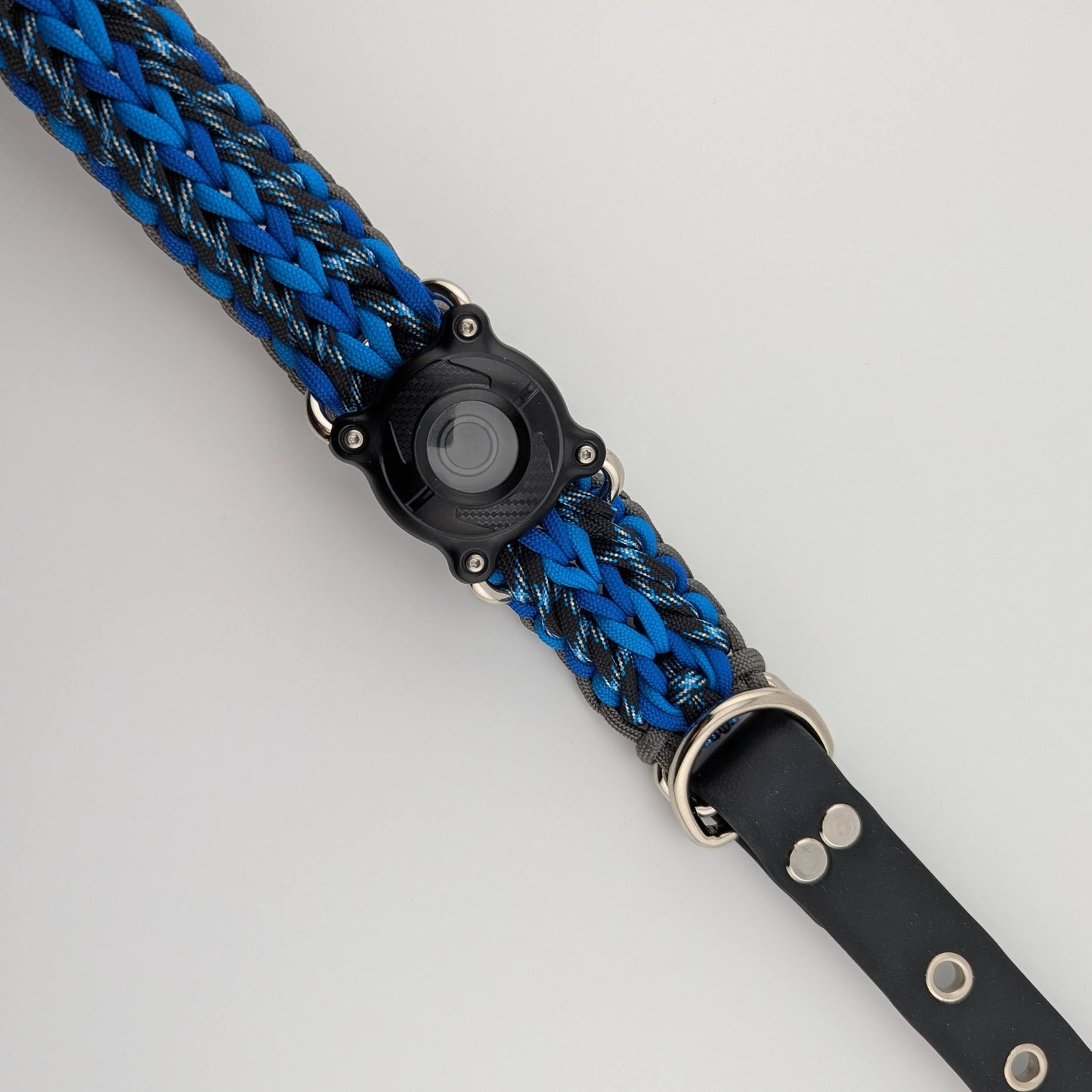 Adjustable Collar: Apple Tree