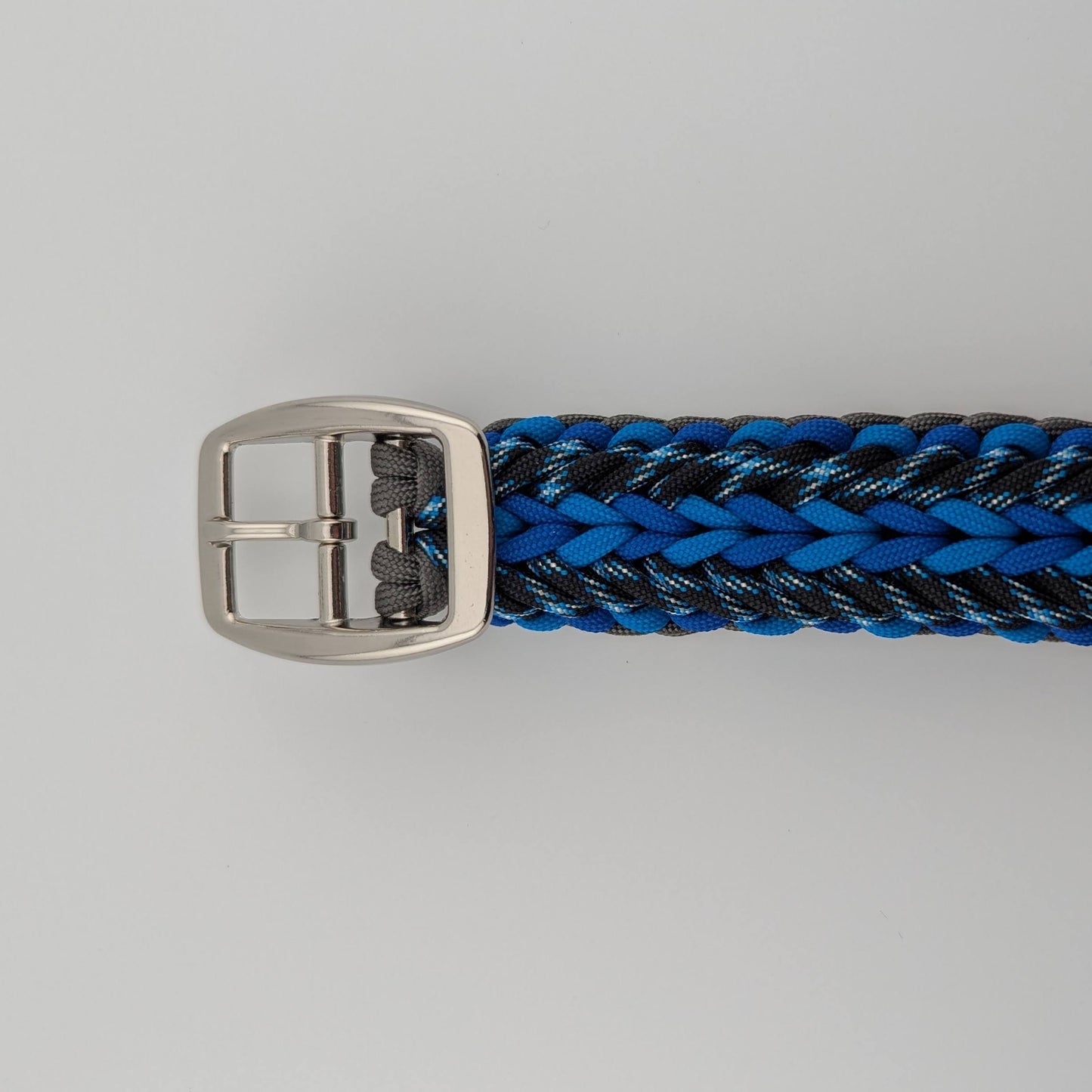 Adjustable Collar: Apple Tree