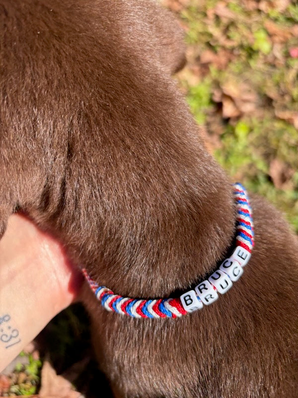 Adjustable Puppy ID Collar